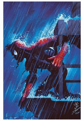 ASOMBROSO SPIDERMAN EL N 29