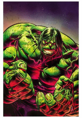 INCREIBLE HULK N 20 EL