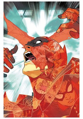 ALL IN BATMAN Y ROBIN N 03