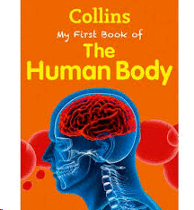 MY FIRST BOOK OF THE HUMAN BODY