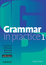 GRAMMAR IN PRACTICE 1