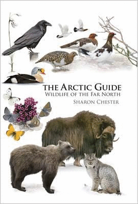 ARCTIC GUIDE THE