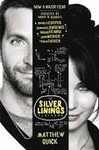 SILVER LININGS PLAYBOOK THE
