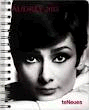 AUDREY 2013 AGENDA 16X21