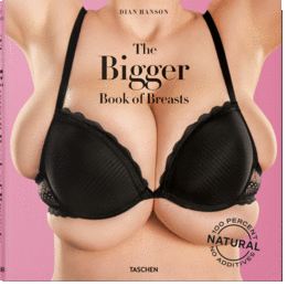 BIGGER BOOK OF BREASTS THE