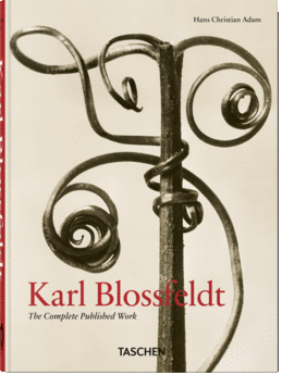 KARL BLOSSFELDT THE COMPLETE PUBLISHED WORK. 40TH ED.