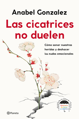 CICATRICES NO DUELEN LAS