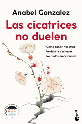 CICATRICES NO DUELEN LAS