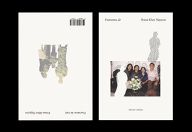 FANTASMA DE FRACTURAS DE RAIZ