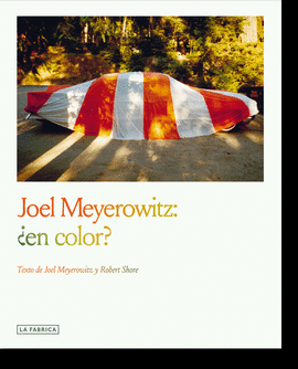 JOEL MEYEROWITZ EN COLOR
