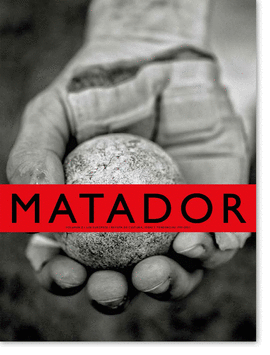 MATADOR VOLUMEN Z REVISTA DE CULTURA IDEAS Y TENDENCIAS 1995 2023