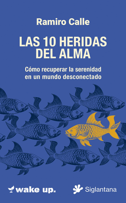 10 HERIDAS DEL ALMA LAS