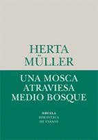 UNA MOSCA ATRAVIESA MEDIO BOSQUE