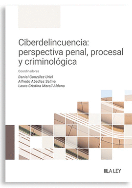 CIBERDELINCUENCIA PERSPECTIVA PENAL PROCESAL Y CRIMINOLOGICA