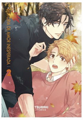 HISTORIA DE AMOR INESPERADA N 02