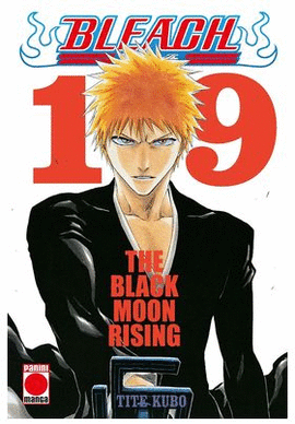 BLEACH BESTSELLER N 19