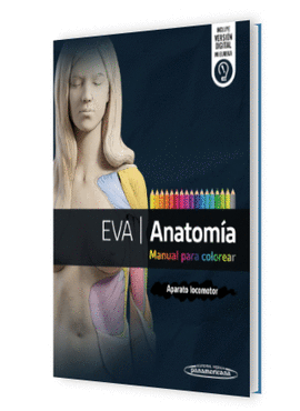 EVA ANATOMIA MANUAL PARA COLOREAR