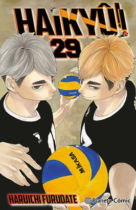 HAIKYU N 29
