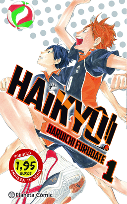 HAIKYU N 01