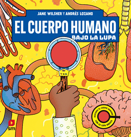 CUERPO HUMANO BAJO LA LUPA EL