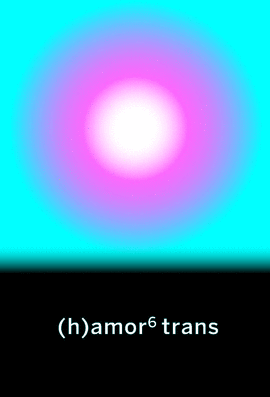 H AMOR 6 TRANS