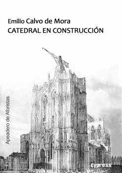 CATEDRAL EN CONSTRUCCION