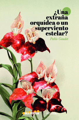 UNA EXTRAÑA ORQUIDEA O UN SUPERVIENTO ESTELAR
