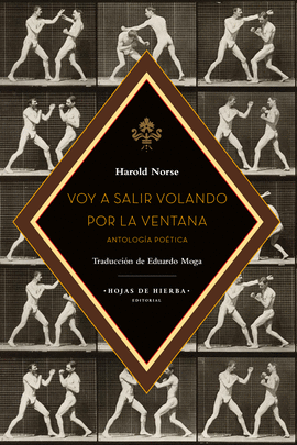 VOY A SALIR VOLANDO POR LA VENTANA