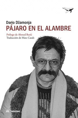 PAJARO EN EL ALAMBRE