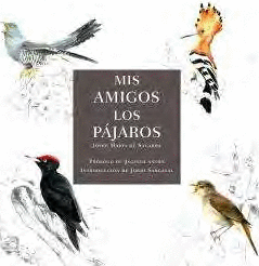 MIS AMIGOS LOS PAJAROS