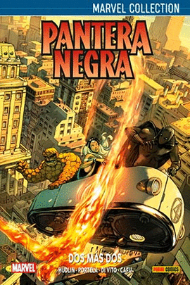 PANTERA NEGRA DE HUDLIN 03