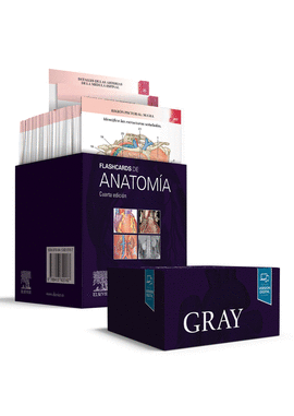 GRAY FLASHCARDS DE ANATOMÍA 4 EDICIÓN