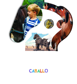CABALLO 4 AÑOS  PROYECTO LO VES 2019