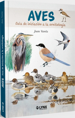 AVES