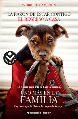 RAZÓN DE ESTAR CONTIGO EL REGRESO A CASA