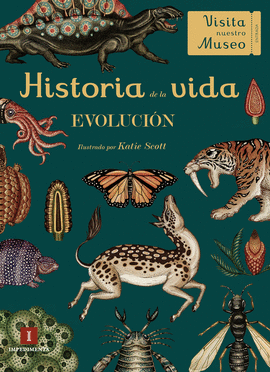 HISTORIA DE LA VIDA EVOLUCION