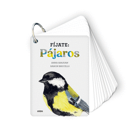 FIJATE PAJAROS