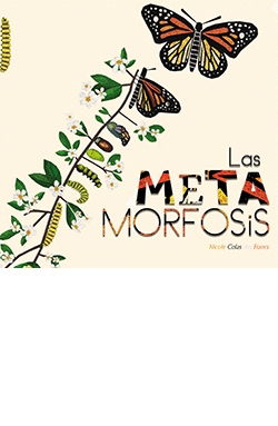 METAMORFOSIS LAS