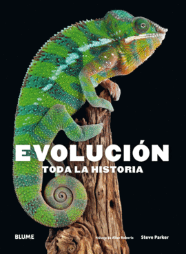 EVOLUCION TODA LA HISTORIA