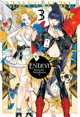 ENDEVI N 03