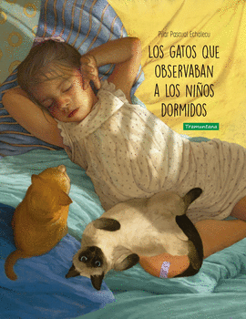 GATOS QUE OBSERVABAN A LOS NIÑOS DORMIDOS LOS