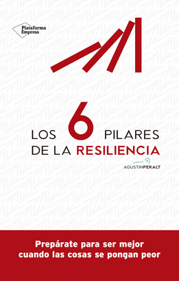 6 PILARES DE LA RESILIENCIA LOS