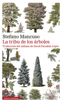 TRIBU DE LOS ARBOLES LA