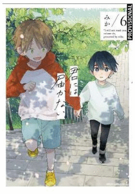 BARRERAS DEL CORAZON N 06