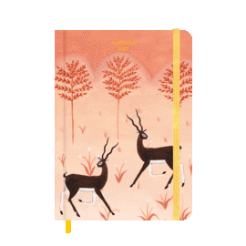 AGENDA ANUAL BOLSILLO 2027 BRIANDA