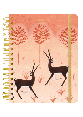 AGENDA ANUAL SEMANAL 2027 BRIANDA