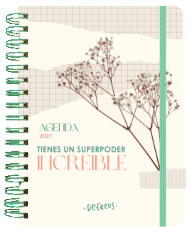 AGENDA ANUAL SEMANAL 2027 DEFREDS