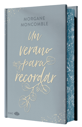 UN VERANO PARA RECORDAR EDICION ESPECIAL LIMITADA CON CANTOS PINTADOS