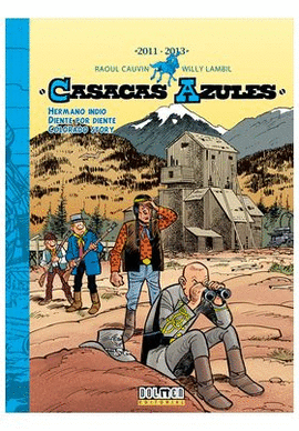 CASACAS AZULES 2011 2013