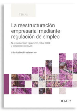 REESTRUCTURACION EMPRESARIAL MEDIANTE REGULACION DE EMPLEO LA
